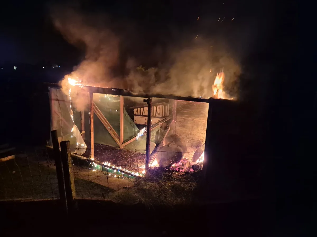 Als die Feuerwehr am Brandort eintraf, stand der Schopf bereits in Flammen. Feuerwehrleute löschen eine brennende Gartenlaube.