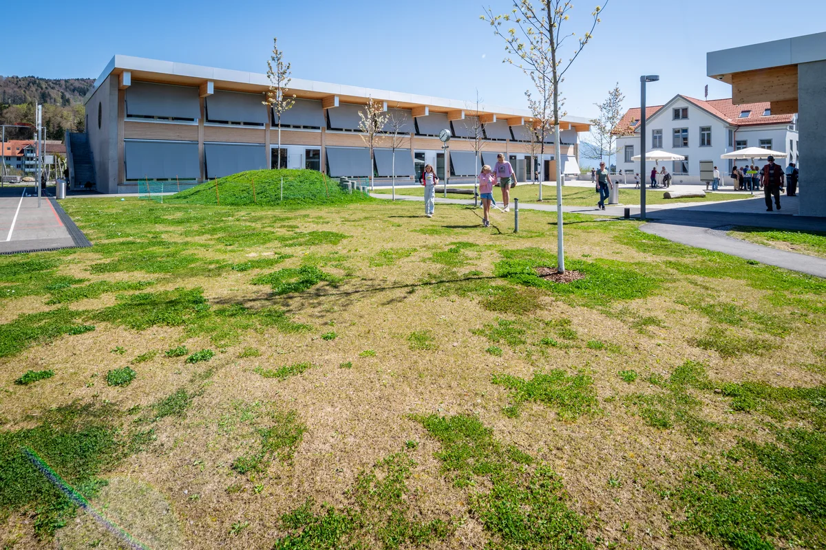 Die frisch angelegte Umgebung muss noch gedeihen, bald werden die unzähligen Bäume angenehmen Schatten spenden. Ein Aussenbereich eines Schulhauses.