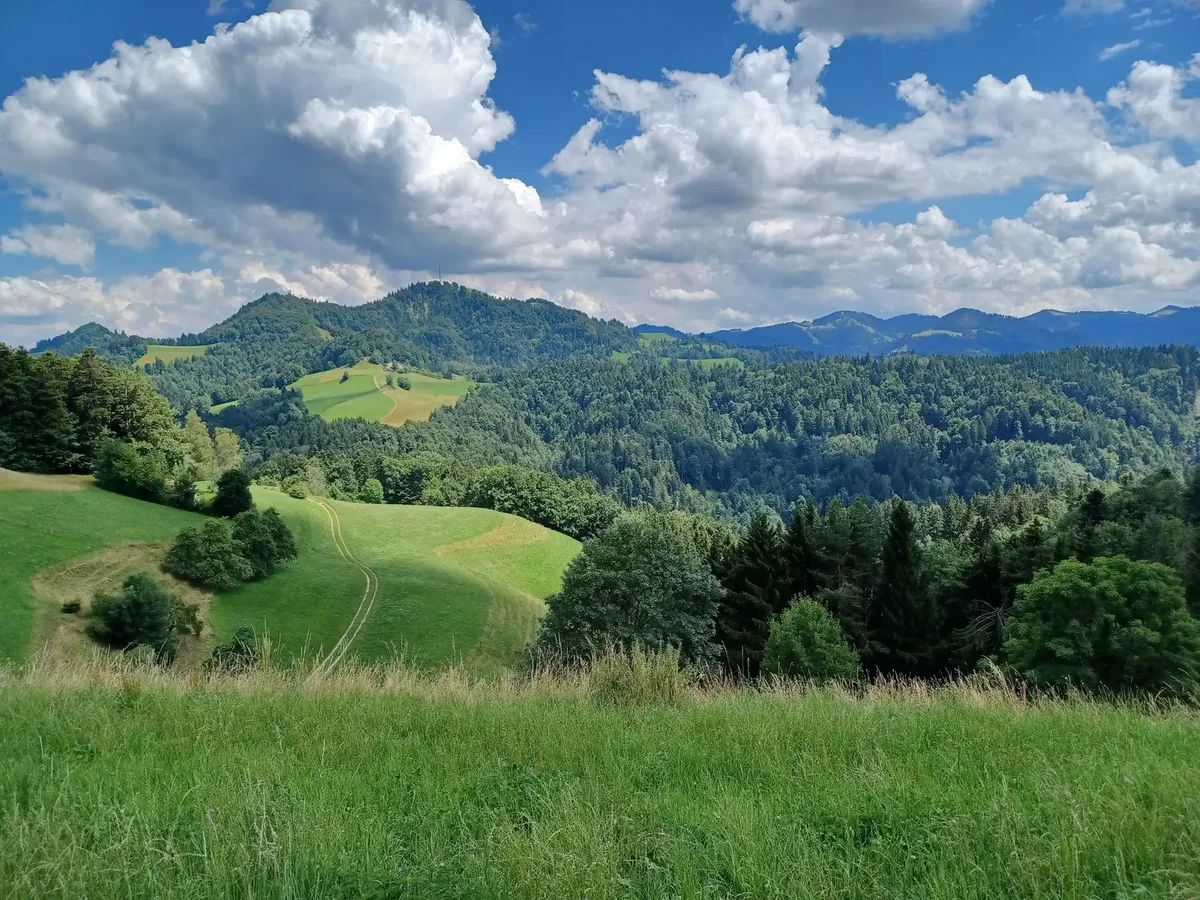 Blick Richtung Hörnli im Tösstal.