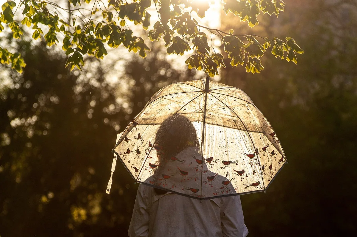 31508259-10 Erst Regen, dann Sonne: Bis zum Ende der Woche zeigt das Wetter nochmal all seine Facetten.