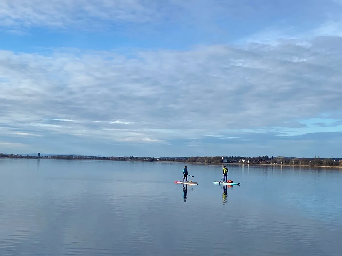 Zwei Stand-up-Paddler auf dem Greifensee.