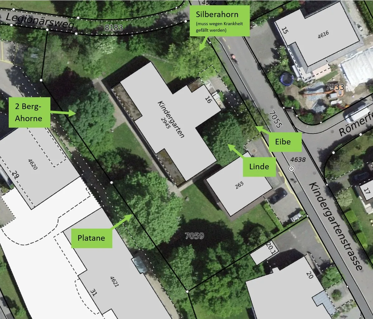 Satellitenbild mit Gebäuden und eingezeichneten Bäumen.