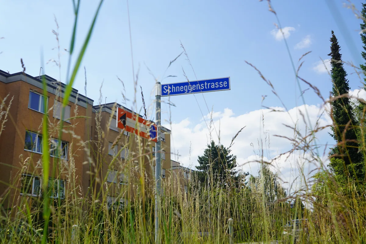 Blick aus der Schneckenperspektive auf die gleichnamige Strasse in Wetzikon.