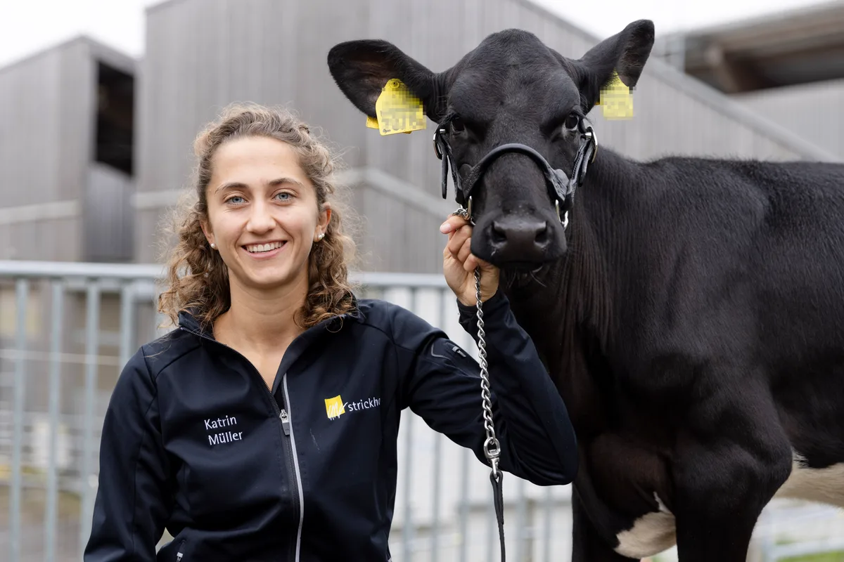Das Kalb Cool Girl ist das erste mit dem sogenannten Slick-Gen am Strickhof. Dank diesem kann es seine Körpertemperatur besser regeln.