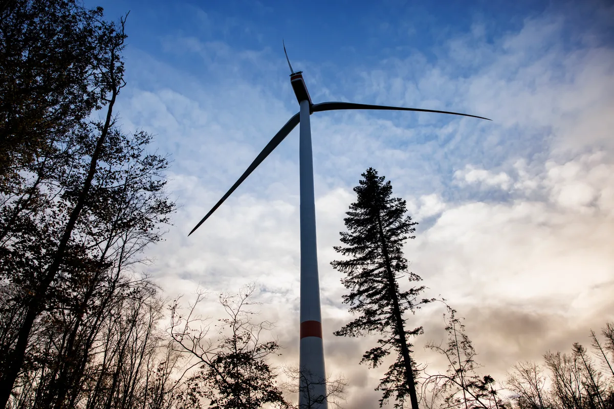 Starker Wind weht meistens auf den Hügeln, und diese sind im Kanton Zürich häufig bewaldet.