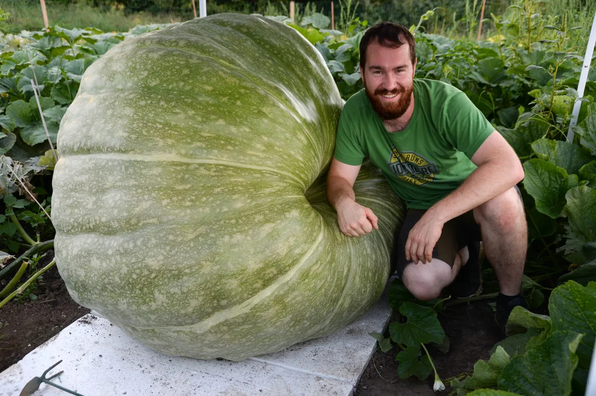 Der Esslinger Riesengemuese-Zuechter Florian Isler mit seinem Squash-Kuerbis.