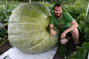 30107948-2 Der Esslinger Riesengemuese-Zuechter Florian Isler mit seinem Squash-Kuerbis.