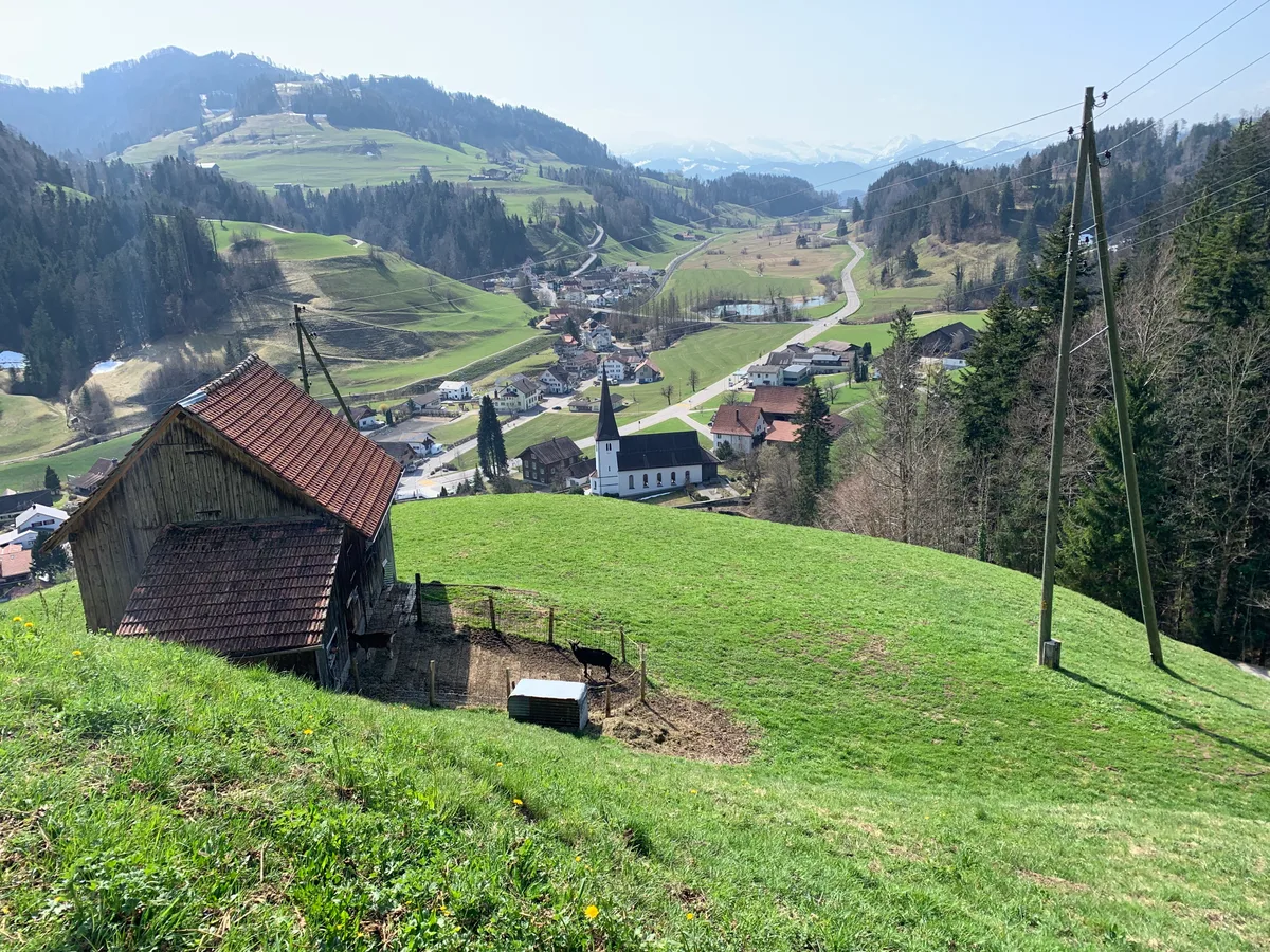 Blick auf Fischenthal mit Kirche am 2. April 2021, Frühling Wiese