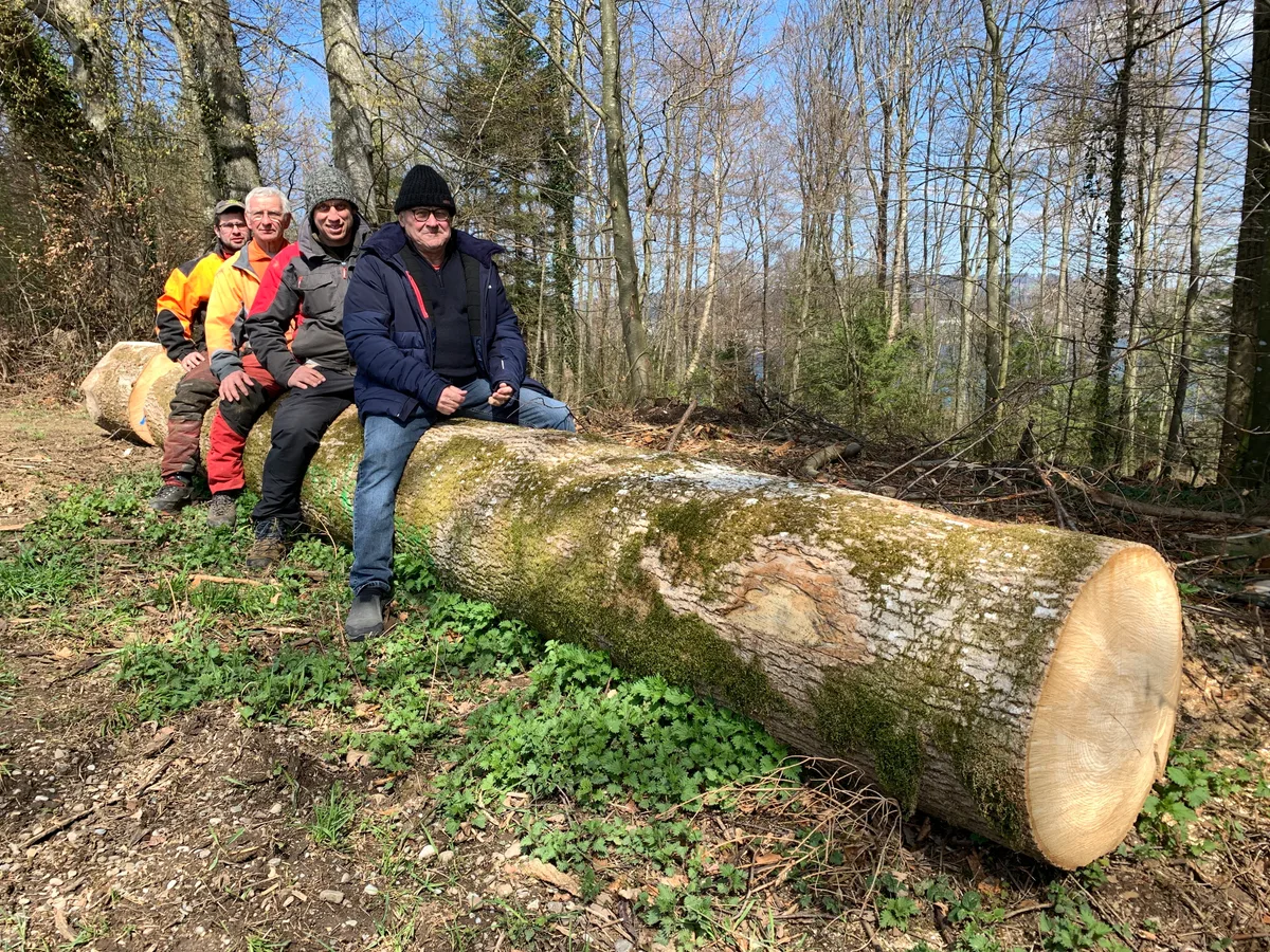 Werner Messikommer (blaue Jacke und Kappe) will für die ERinbaum-Gemeinde Seegräben einen Einbaum produzieren und dann bei ihm ausstellen. Unterstützt wird er vom Bäretswiler Förster Pascal Sturm (grau-rote Jacke und Kappe) sowie den Holzfällern Hans Glauser (älterer Herr mit grauen Haaren , oranger Kleidung und Motorsäge) sowie dessen Sohn Urs (jüngerer Herr mit Cap), Baumstamm, eine Esche am Rand des Waldes beim Ruetschberg noch auf Seegräbner Boden