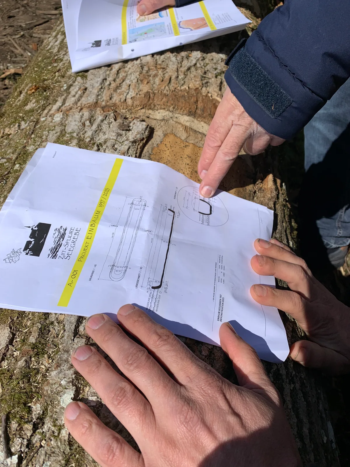 Plan des 1957 gefundenen Einbaums, der Stamm, aus dem der neue Einbaum konstruiert wird, und die Hände von Werner Messikommer und des Bäretswiler Försters Pascal Sturm.