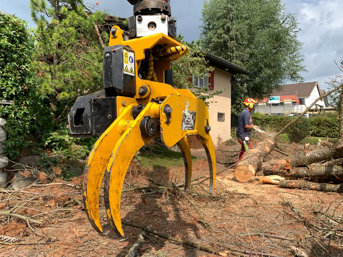 Die Greifzange des Fällgreifers.