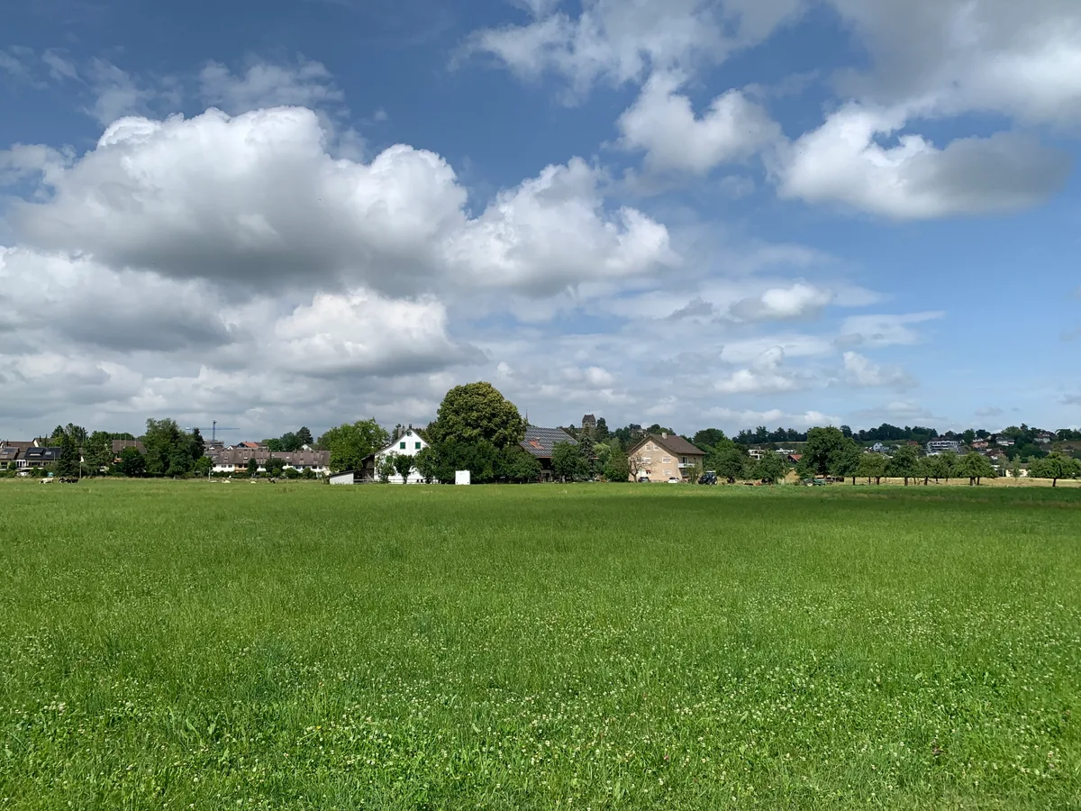 Weitsicht über eine grüne Wiese auf einen Bauernhof. 