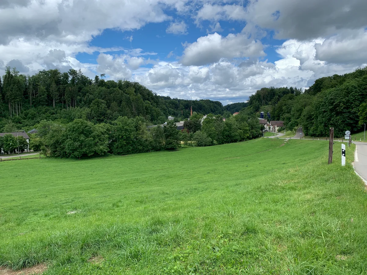Eine Wiese im Vordergrund und im Hintergrund hinter Bäumen das Aatal.