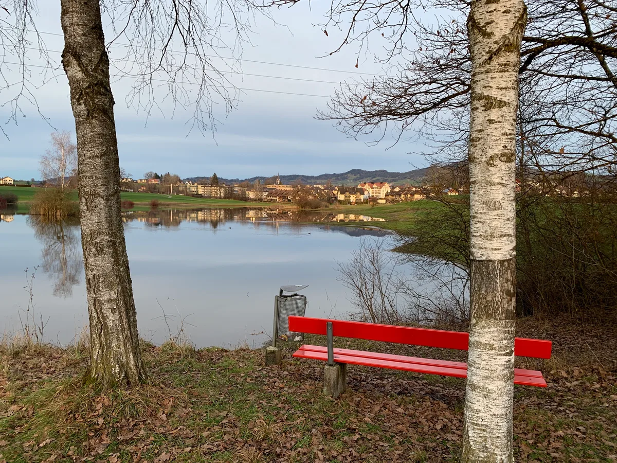 Das Hüsliriet bei Bubikon ist am 31.12.2022 völlig geflutet. Bubikon liegt nun an einem See. Statt Eis hat es im Winter hier nur Wasser.