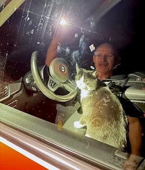 Ein Polizist, der in ein Auto leuchtet, in dem eine Katze sitzt.