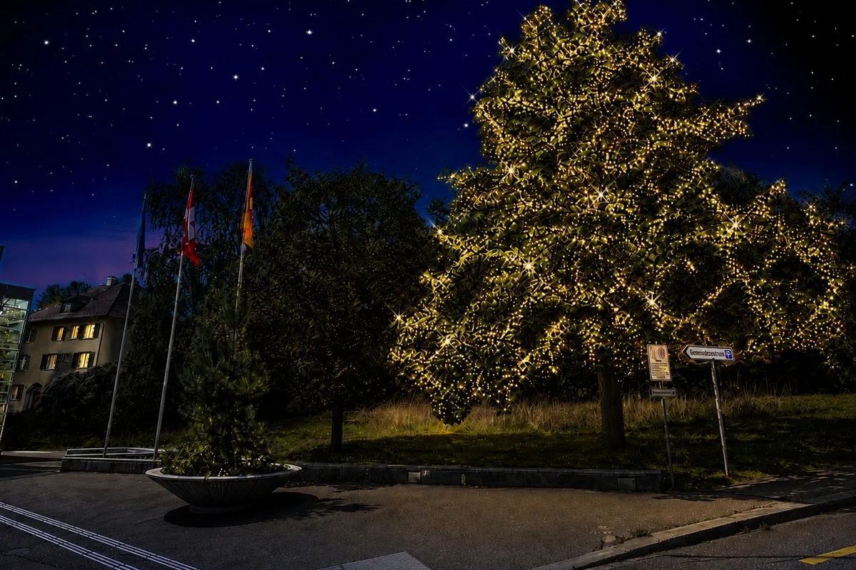 Bäume in Rüti erhalten mitwachsende Weihnachtsbeleuchtung