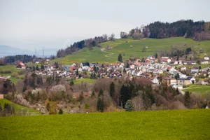 23112844-2 Wald Ausblick