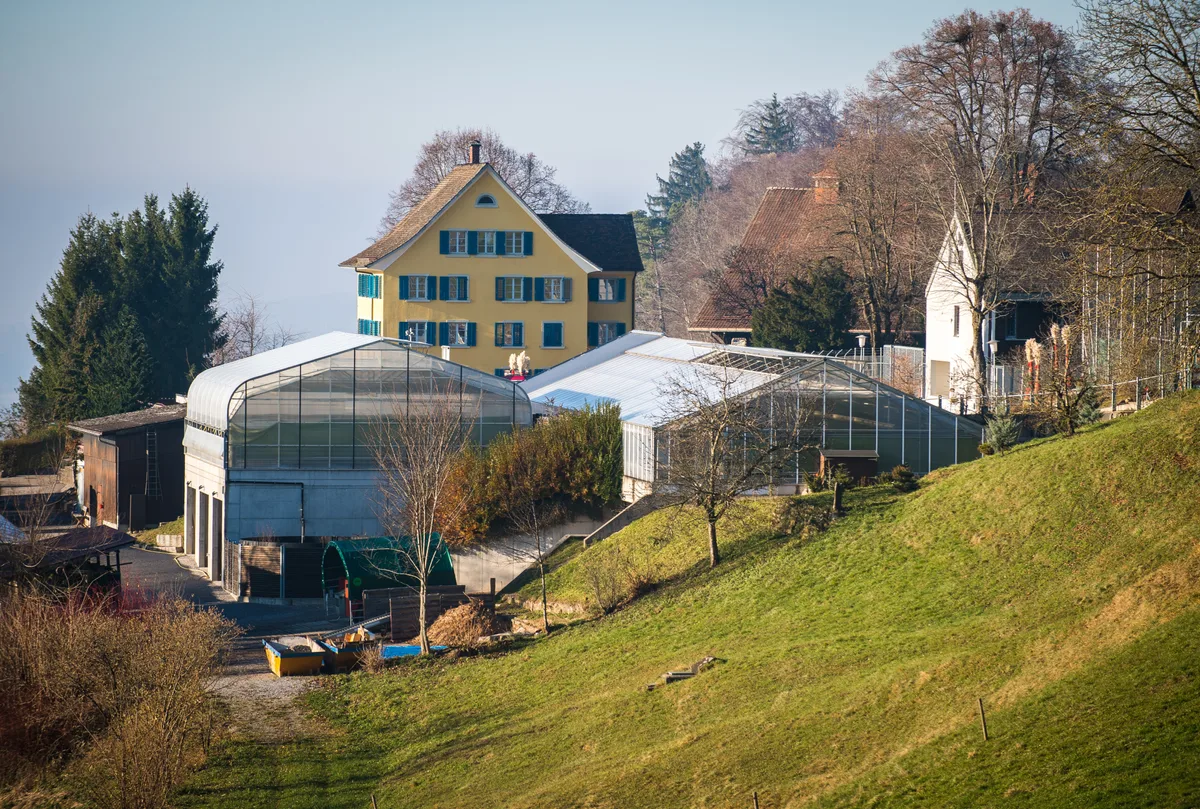 31295824-4 Eine Beleidigung im Vollzugszentrum Bachtel wurde für einen Inhaftierten teuer.