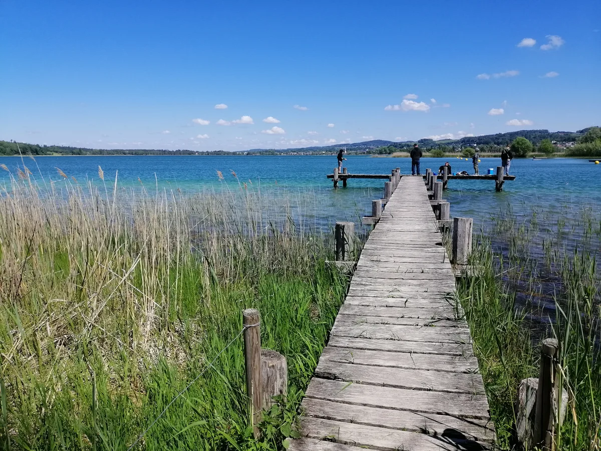 Die Stege am Pfäffikersee (A, B und C in Pfäffikon - D und E in Auslikon) werden nicht nur von Fischern, sondern auch verbotenerweise von Badenden und Böötlern benutzt.