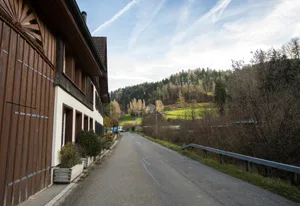 23223114-1 Steinenbachtal: Peter Rüegg's Haus