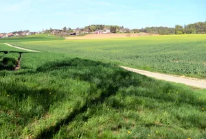 Unter anderem dieses Stück Ackerland bei Tagelswangen hätte zur Kiesgrube werden sollen. (Archiv) Unter anderem dieses Stück Ackerland bei Tagelswangen hätte zur Kiesgrube werden sollen. (Archiv)