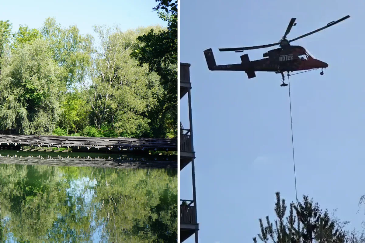 Einige Bäume am Zellweger-Weiher wurden am Dienstag gefällt. Dabei kam ein Helikopter zum Einsatz, der während der Arbeiten Öl verlor.
