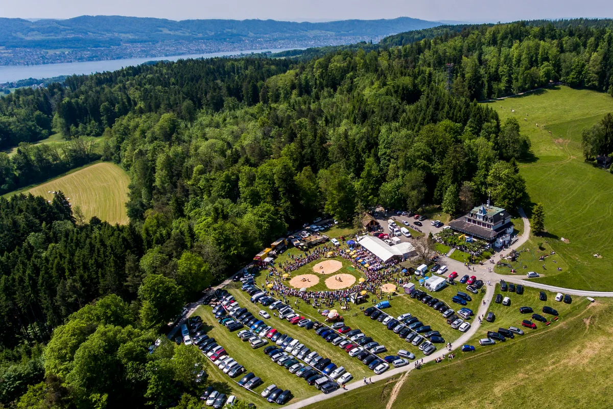 29539020-2 Luftaufnahme Pfannenstil Schwinget 2017