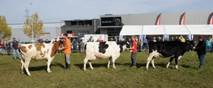 Viehschau Egg am neuen Standort im Industriegebiet Längi-Hanselmaa. Kategoriensieger. Viehschau Egg am neuen Standort im Industriegebiet Längi-Hanselmaa. Kategoriensieger.