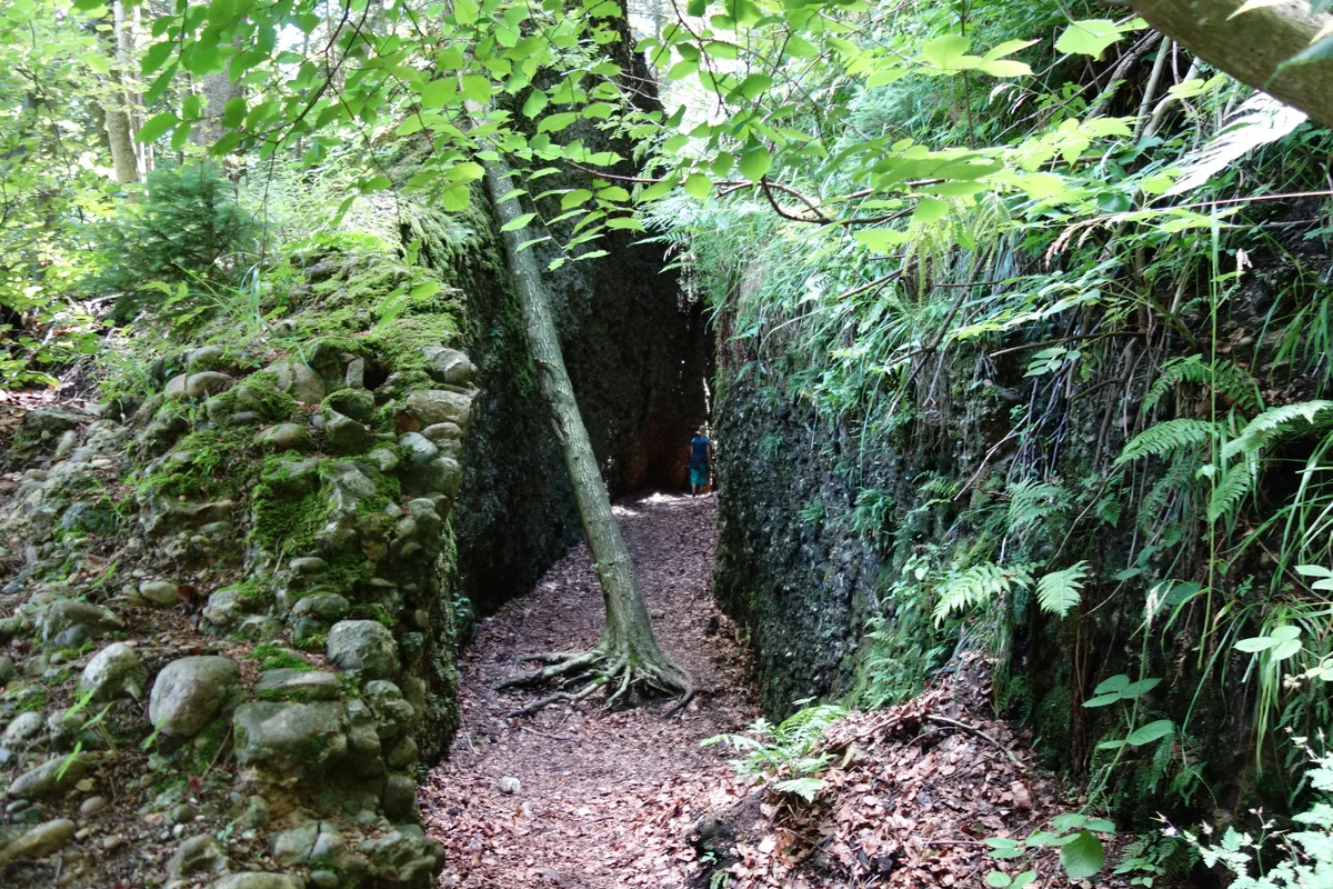Ein Felsspalt mitten im Wald.