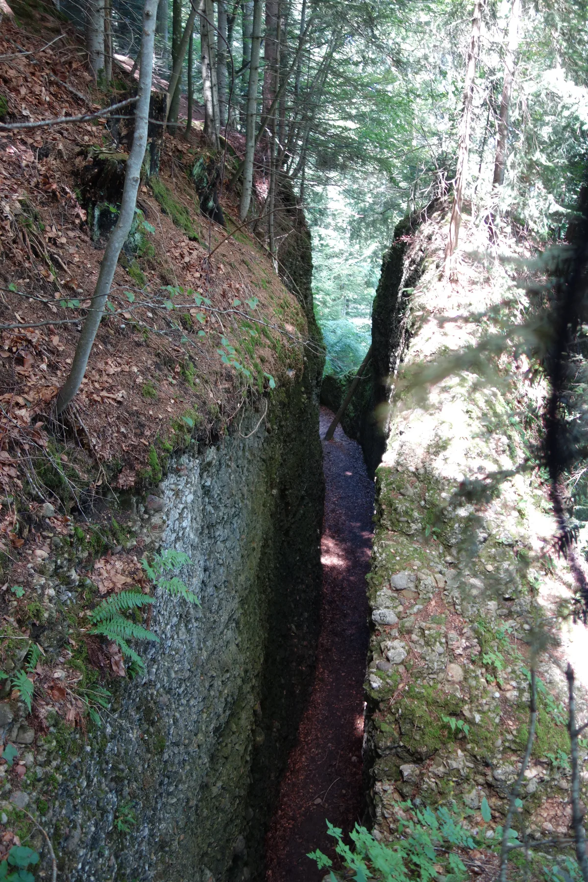 Ein Felsspalt mitten im Wald.