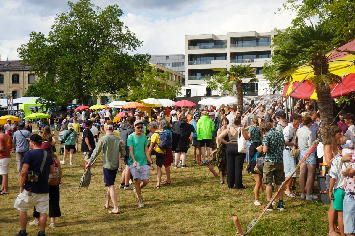 Szenische Aufnahme vom «Reeds» 2026.