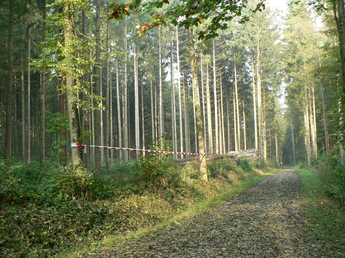 Hier ist gemäss kantonalem Richtplan eine Deponie geplant. Die Gemeindebehörden von Gossau und Grüningen wehren sich vehement gegen das Vorhaben Hier ist gemäss kantonalem Richtplan eine Deponie geplant. Die Gemeindebehörden von Gossau und Grüningen wehren sich vehement gegen das Vorhaben