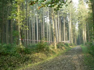 Hier ist gemäss kantonalem Richtplan eine Deponie geplant. Die Gemeindebehörden von Gossau und Grüningen wehren sich vehement gegen das Vorhaben Hier ist gemäss kantonalem Richtplan eine Deponie geplant. Die Gemeindebehörden von Gossau und Grüningen wehren sich vehement gegen das Vorhaben