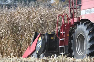 maisernte bei winikon uster, Körnermais, Traktor, Bauern maisernte bei winikon uster, Körnermais, Traktor, Bauern