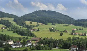 12543194-25 Bachtel