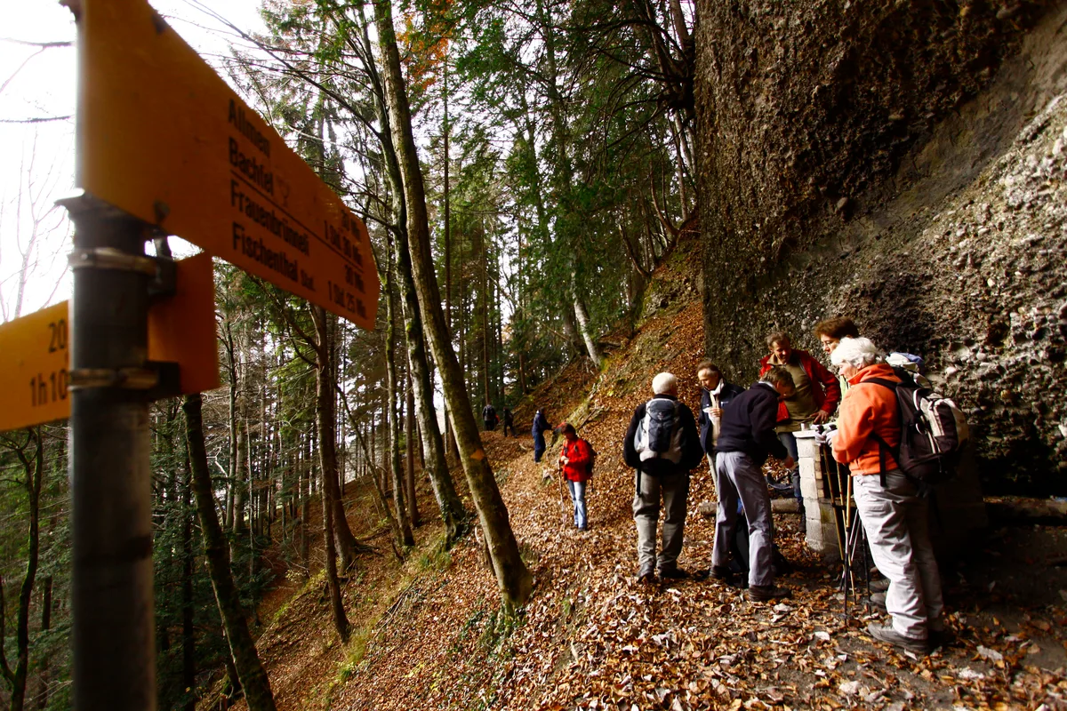 Der ZAW (Zürcher Wanderwege) auf einer seiner Wanderungen, die durchs Oberland führte.