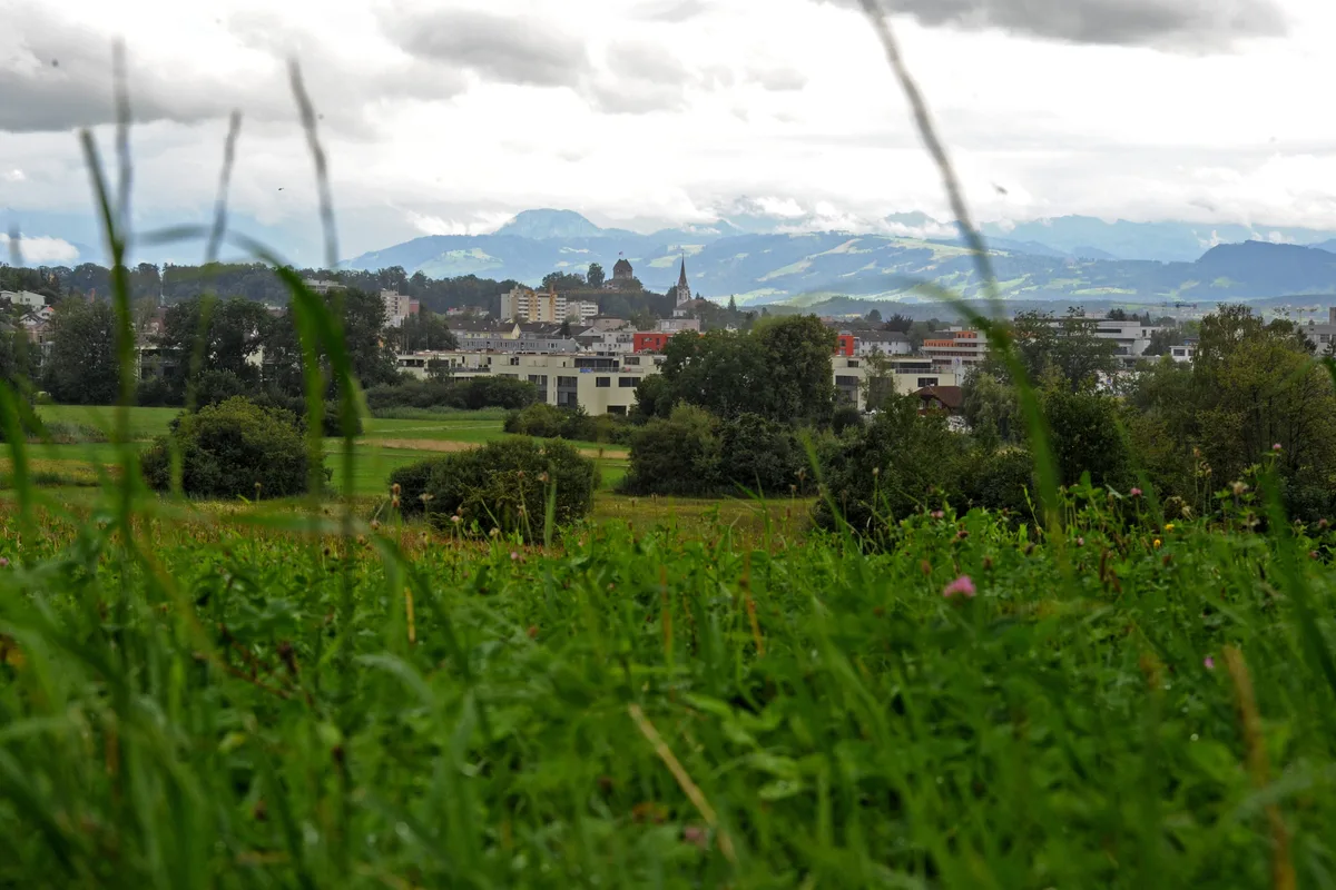 Die Strasse Uster West soll durch das Lorengebiet führen. Dabei wird die Brandschänki im Norden (Abzweigung Schattenackerstrasse) umfahren. Gegner sehen das Laichgebiet für Amphibien im Glattenriet gefährdet. Die Strasse führt paralell zur Winterthurerstrasse zum Lorenplatz und dort via Überfühurung über die Bahngleise zum neuen Kreisel Eschenbüel. Die Strasse Uster West soll durch das Lorengebiet führen. Dabei wird die Brandschänki im Norden (Abzweigung Schattenackerstrasse) umfahren. Gegner sehen das Laichgebiet für Amphibien im Glattenriet gefährdet. Die Strasse führt paralell zur Winterthurerstrasse zum Lorenplatz und dort via Überfühurung über die Bahngleise zum neuen Kreisel Eschenbüel.
