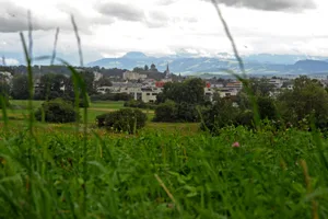 Die Strasse Uster West soll durch das Lorengebiet führen. Dabei wird die Brandschänki im Norden (Abzweigung Schattenackerstrasse) umfahren. Gegner sehen das Laichgebiet für Amphibien im Glattenriet gefährdet. Die Strasse führt paralell zur Winterthurerstrasse zum Lorenplatz und dort via Überfühurung über die Bahngleise zum neuen Kreisel Eschenbüel. Die Strasse Uster West soll durch das Lorengebiet führen. Dabei wird die Brandschänki im Norden (Abzweigung Schattenackerstrasse) umfahren. Gegner sehen das Laichgebiet für Amphibien im Glattenriet gefährdet. Die Strasse führt paralell zur Winterthurerstrasse zum Lorenplatz und dort via Überfühurung über die Bahngleise zum neuen Kreisel Eschenbüel.