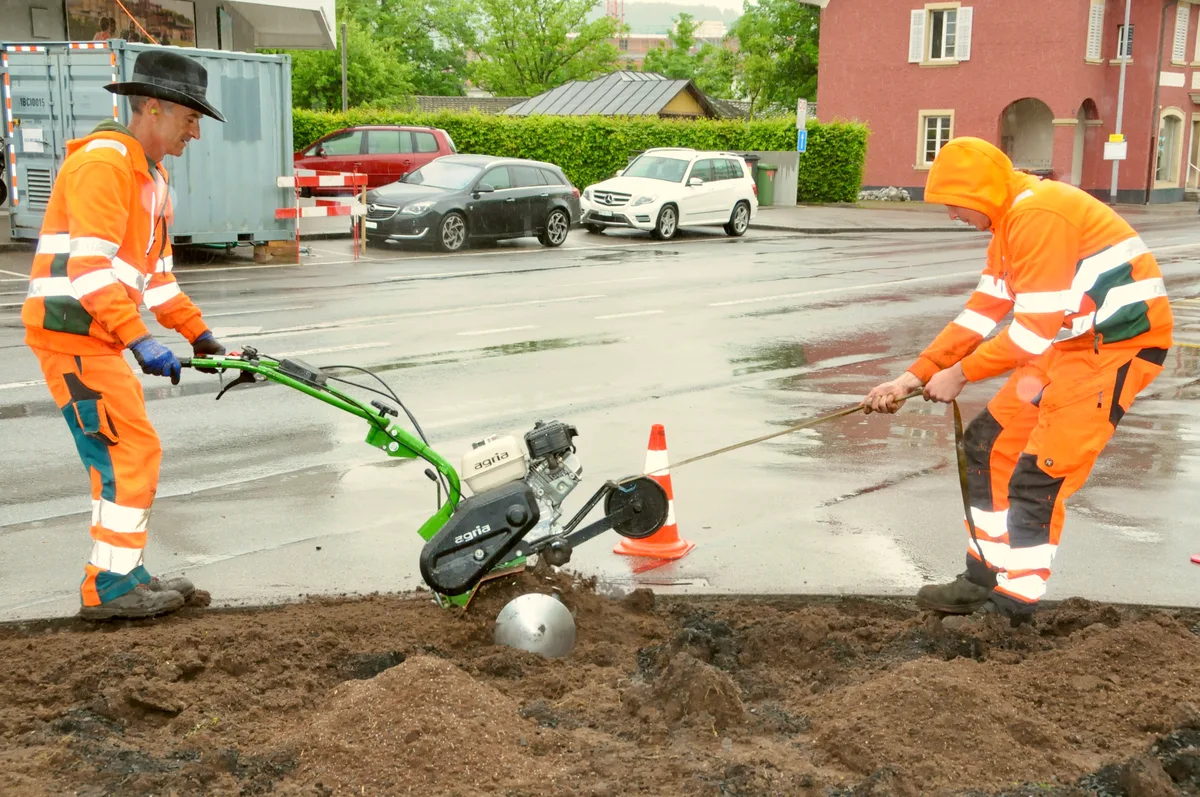 Man sieht die Mitarbeiter der Stadtgärtnerei Dübendorf beim Bepflanzen der Rabatten.