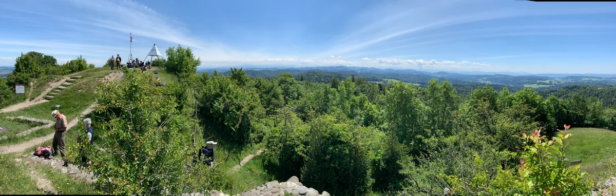 Ausblick vom Schauenberg auf das rundum liegende Waldgebiet.
