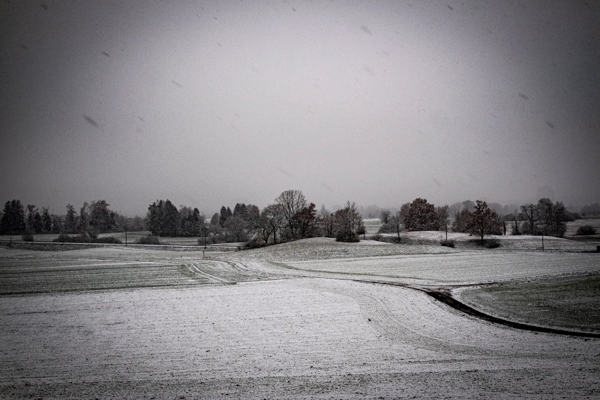 schnee