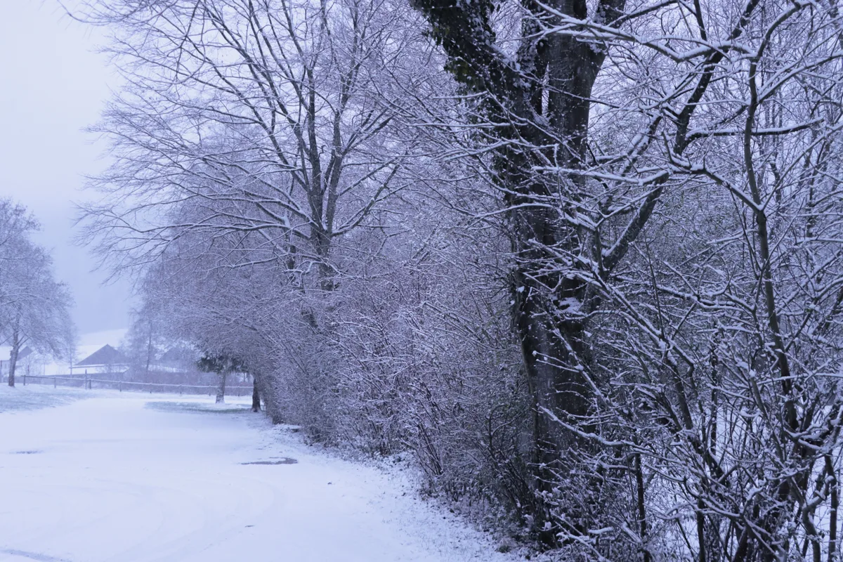 Erster Schnee im Zürcher Oberland 2023