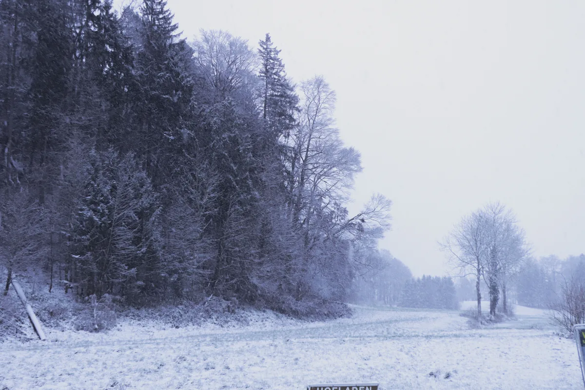 22672295-13 Erster Schnee im Zürcher Oberland 2023