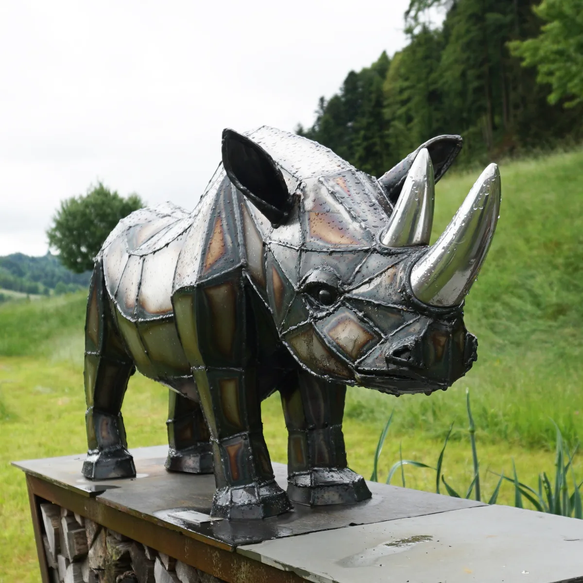 Ein freilaufendes Nashorn, inmitten von Bauma. Ein freilaufendes Nashorn, inmitten von Bauma.