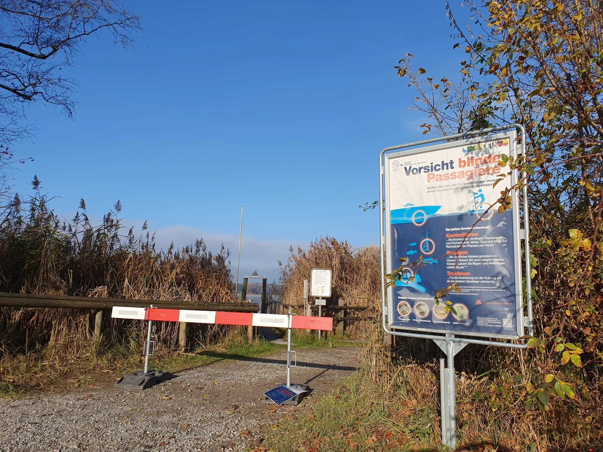 Absperrung in Auslikon (Wetziker Boden) mit Plakat, Boote dürfen wegen der Quaggamuschel nicht eingewassert werden. Absperrung in Auslikon (Wetziker Boden) mit Plakat, Boote dürfen wegen der Quaggamuschel nicht eingewassert werden.