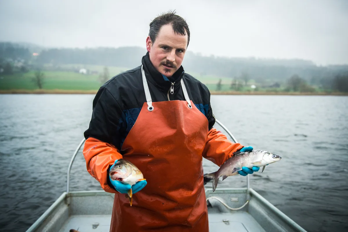 Ein Fischer steht in orangem Ölzeug auf seinem Boot und hält zwei Fische.