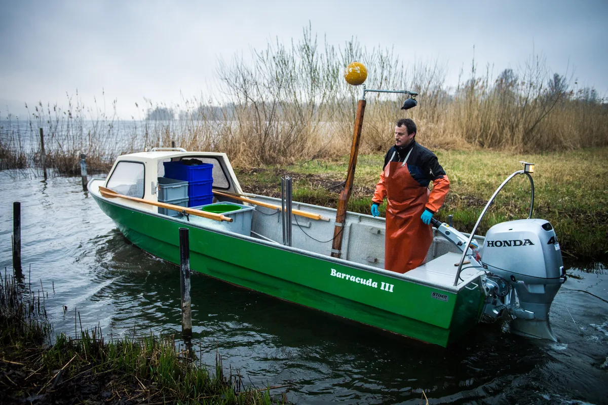 Ende April 2024 endete Zollingers Seepacht. Er bewarb sich nicht um eine Verlängerung. (Archiv) Ein Fischer steht in oranger Wachskleidung in seinem grünen Fischerboot. In der linken Hand hält er den Gashebel des Aussenbordmotors.