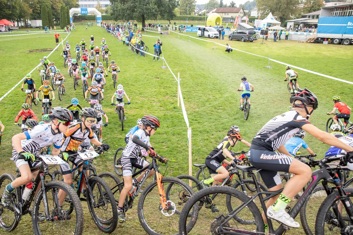 12521662-8 Mountainbike