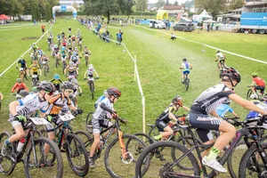 12521662-8 Mountainbike