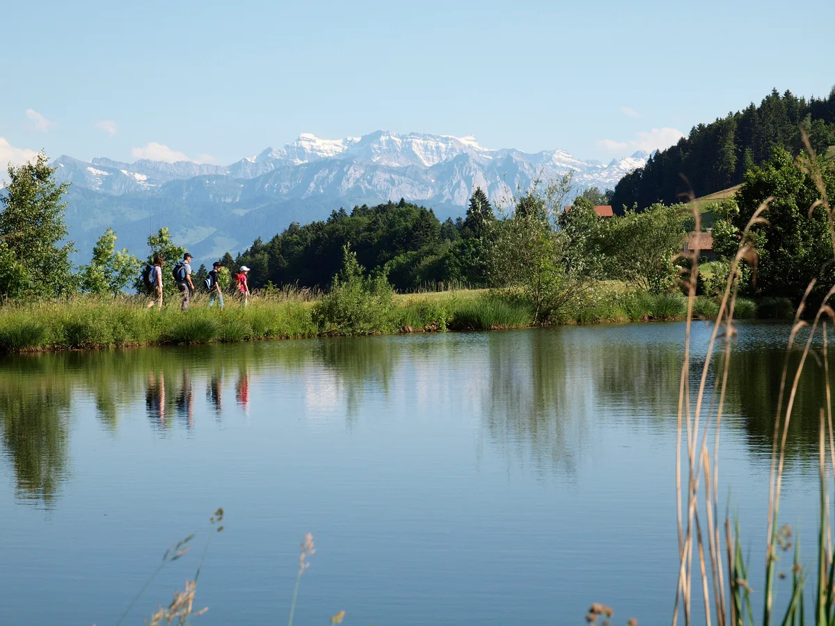 Der Weiher, bevor er leer gefischt wurde.
